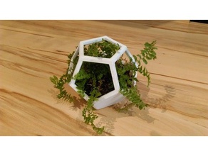 dodecahedron flower pot decor nsfw 3d print model - Mito3D