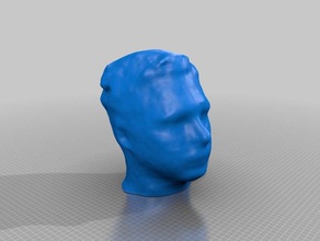 nick kinect scan 3d print model - Mito3D