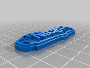nic18 size 12 keychains customized 3d print model - Mito3D