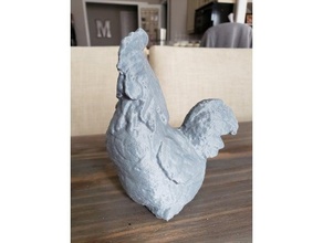 rooster animals chicken photogrammetry 3d print model - Mito3D