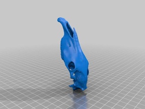 horse skull symmetrical separate jaw art 3d scan bones 3d print model - Mito3D