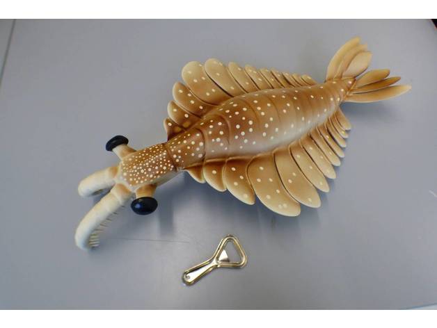 anomalocaris animali cambriano estinto i fossili preistorico 3D print model - Mito3D