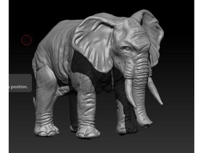 elefante 3d impressão 3d print model - Mito3D