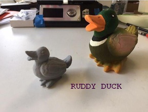 duck scans replicas ruddy 3d print model - Mito3D