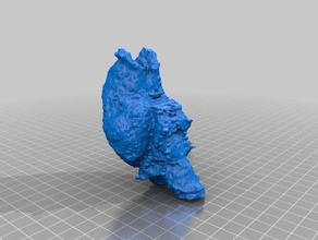 sheep brain cavity 19 months old normal biology 3d print model - Mito3D