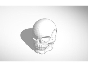 el cráneo 3d la impresión humano esqueleto de cabeza 3d print model - Mito3D