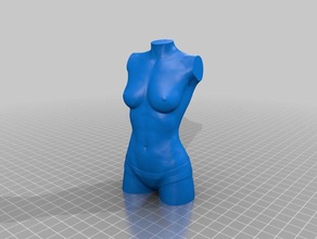 hollowed female torso sladlp hq print art best beutyfull body 3d print model - Mito3D