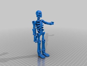 esqueleto 3d impressão 3d print model - Mito3D
