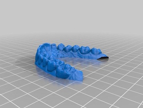 scansione denti bocca scan tooth mouth replicas bone bones gossamer medicine orthodonticmodel osso 3d print model - Mito3D