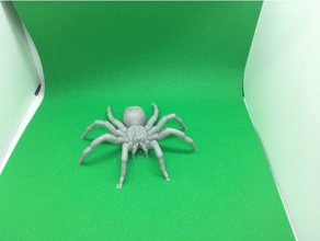 spider toys games animal arachnid arachnida insect prank scary tarantula 3d print model - Mito3D