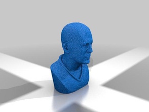 bust dbruce people bruce willis 3d print model - Mito3D