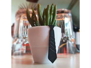 Krawatte bow tie Pflanzer Haushalt bowtie ties Kaktus der Miniatur miniaturen Pflanzkübel Topf saftig sind Sukkulenten saftige Halter sukkulente vase sukkulenten 3d print model - Mito3D