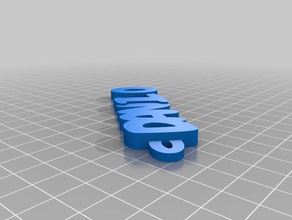danilo Anahtarlık özelleştirilmiş 3d print model - Mito3D