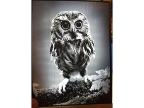 owl lithophane 2d art baby cute eyes feather knock led night light wildlife 3d print model - Mito3D