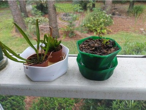 bog planter carnivorous plants outdoor garden pitcher plant sundew venus flytrap 3d print model - Mito3D
