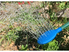 watering can rose outdoor garden openscad 3d print model - Mito3D