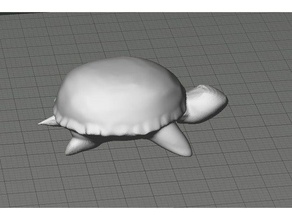 ugly turtle 3d printing 3d print model - Mito3D