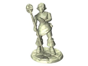 feminino elfo clérigo figura jogos dandd 3d print model - Mito3D