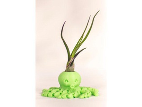 cute mini octopus air plant holder 3d printing 3d print model - Mito3D