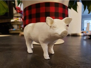 domuz hayvanlar Fotogrametri 3d print model - Mito3D