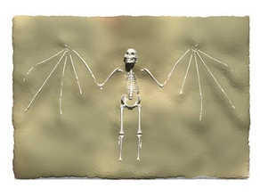 homo nosferatu vampiris dracula, der Vampir, fossil Biologie Kreatur halloween mythische Skelett 3d print model - Mito3D