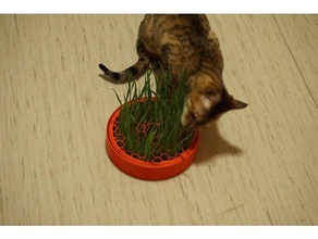 cat grass planter pets 3d print model - Mito3D