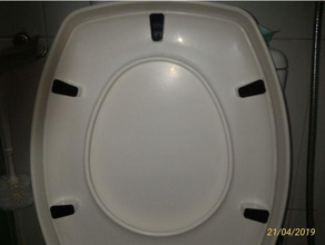 il supporto di servizi igienici copertura bagno 3d print model - Mito3D
