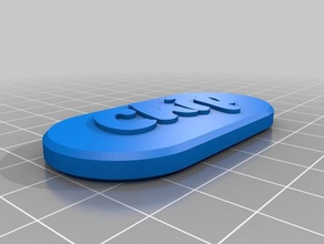 chips tag pets customized 3d print model - Mito3D