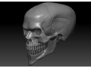 evil skull 3d print concept people anatomy head human skeleton 3d print model - Mito3D