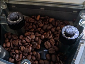 gaggia titanium - hopper-Stecker bean hopper Kaffee Teile der Trichter Stecker Titan 3d print model - Mito3D