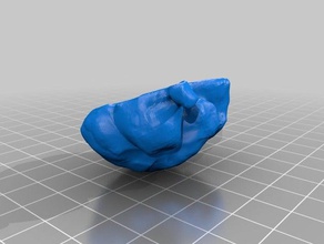 human brain scanned structure scanner portland 3d print model - Mito3D
