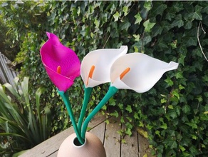 calla lily modelos de la flor nsfw 3d print model - Mito3D