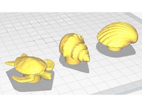 seashell ocean life drawer pulls household beach cabinet door knob knobs turtle 3d print model - Mito3D