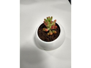 succulent pot angled dome outdoor garden cactus flower plant pots 3d print model - Mito3D