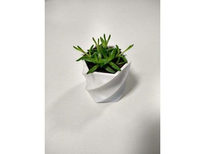 succulento piatto semplice spirali all'aperto giardino cactus pianta scrivania ufficio impianti piantare in vaso fioriera 3d print model - Mito3D