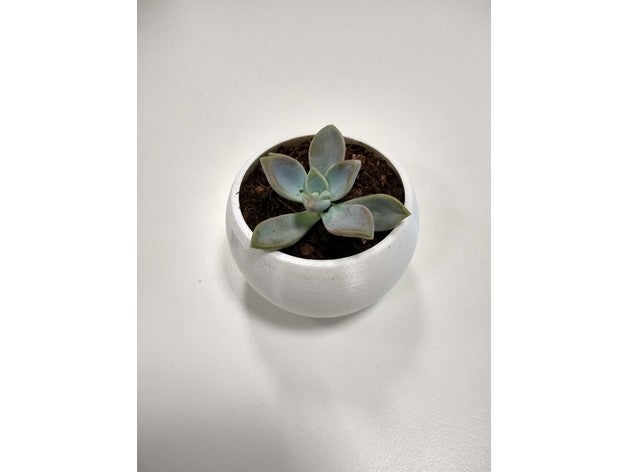 succulent pot - simple dome desk plant indoor planter pots 3D print model - Mito3D