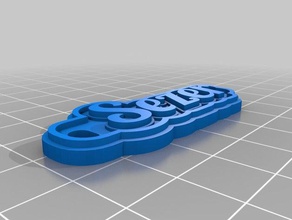 sezer chaveiros personalizado 3d print model - Mito3D