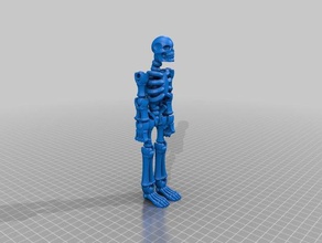 esqueleto humano Menschen 3d print model - Mito3D