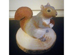 little squirrel scans replicas 3d animals 3d print model - Mito3D