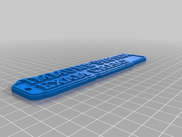 immune system exam key chain keychains customized 3D print model - Mito3D