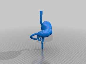 Impreso en 3d de entrenamiento simulación evaluación la patología pediátrica del tracto gastrointestinal superior fluoroscopia impresión 3d print model - Mito3D