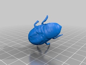 Zikade Larve 3d-scan cicandidae periostracum Tiere bug Insekt 3d print model - Mito3D