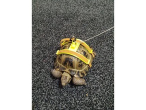 tortoise harness pets lead turtle 3d print model - Mito3D