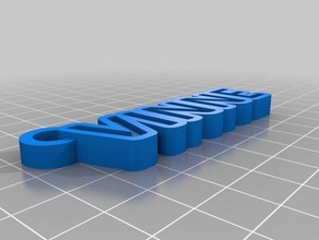 vinne nombre de la etiqueta llavero llaveros 3d print model - Mito3D