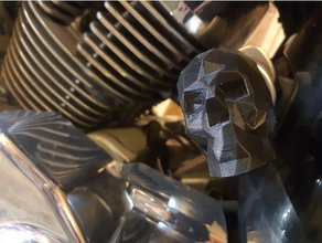 cráneo clave de la cubierta honda shadow vt750 otros 3d print model - Mito3D