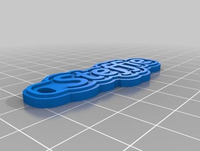 minha personalizado de várias linhas tag chaveiro verde cinza steffie abeezee ital moedas emblemas 3d print model - Mito3D