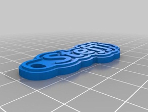 minha personalizado de várias linhas tag chaveiro verde cinza steffi abeezee ital moedas emblemas 3d print model - Mito3D