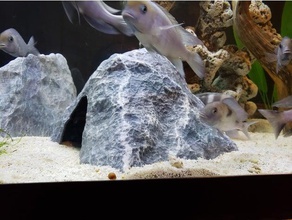 acuario de la decoración textura roca cueva grandes tiendas las mascotas los acuarios cíclidos pescado fishtank tanque peces pleco reptiles camarones terrario 3d print model - Mito3D