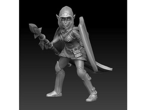 elf scout dnd female miniature rpg sheld spear tabletop warhammer warrior woman 3d print model - Mito3D