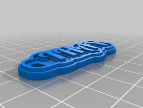 minha personalizado de várias linhas tag porta-chaves chaveiros 3d print model - Mito3D